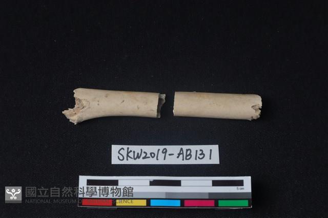 獸骨藏品圖，第2張