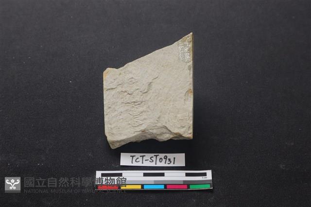 帶加工痕石材藏品圖，第2張