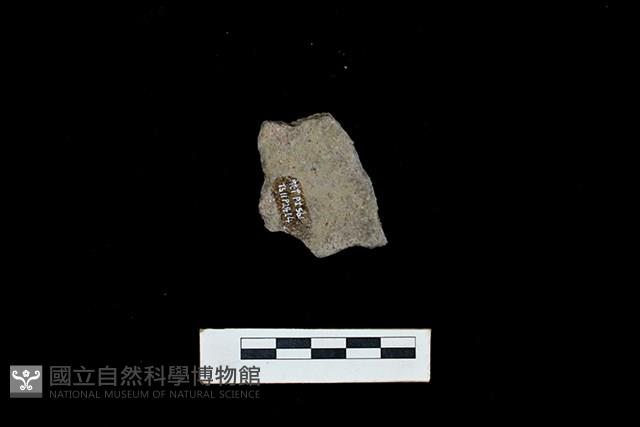 陶片藏品圖，第2張