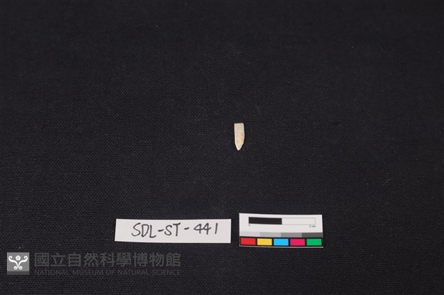 玉飾藏品圖，第2張