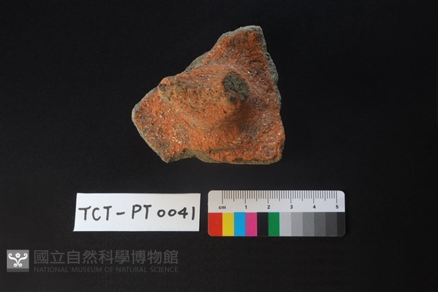 陶蓋鈕藏品圖，第2張