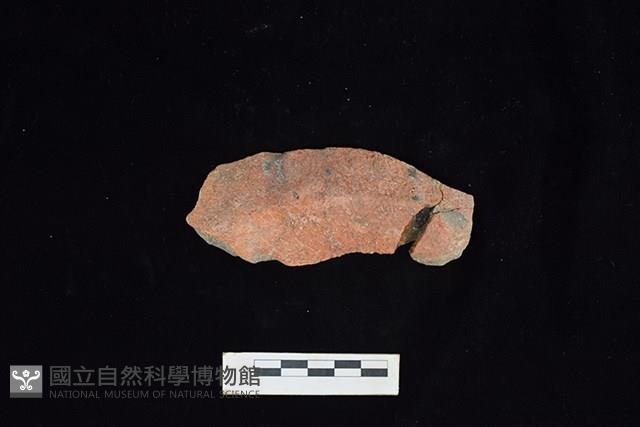 陶片藏品圖，第2張