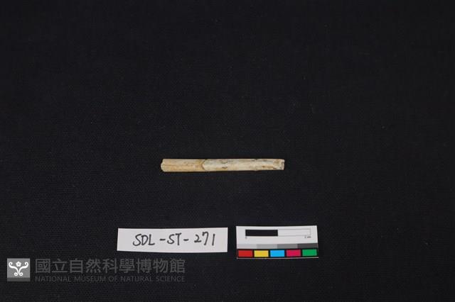 玉簪藏品圖，第2張