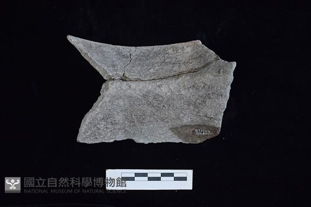 陶罐藏品圖，第2張