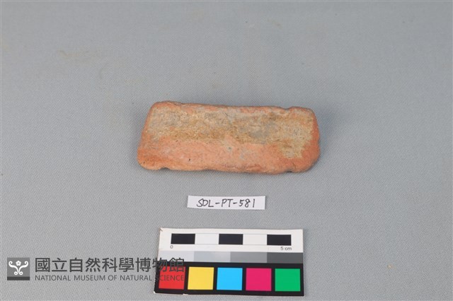 陶網墜藏品圖，第2張