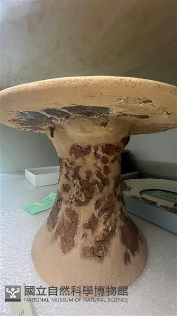 連杯形器藏品圖，第2張