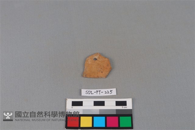 陶片藏品圖，第2張