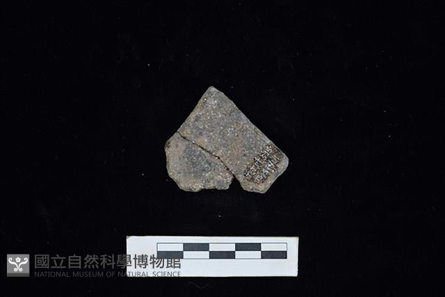 陶片藏品圖，第2張