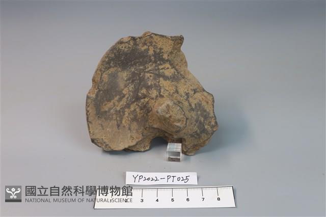 碗/淺盤型陶蓋藏品圖，第2張