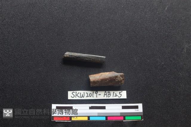 獸骨藏品圖，第2張