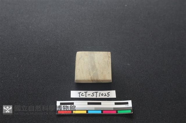 錛鑿形器藏品圖，第2張