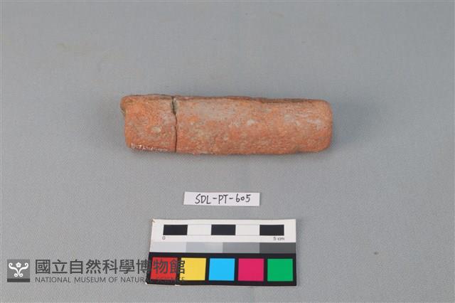 陶網墜藏品圖，第2張