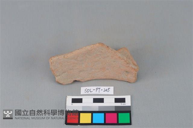 Accession Number:SDL-PT-205 Collection Image, Figure 2, Total 3 Figures