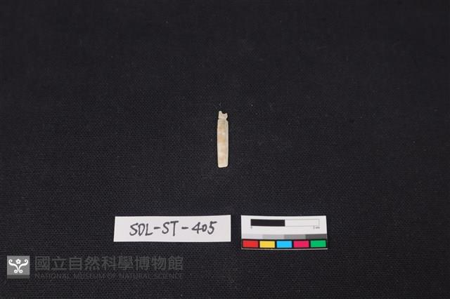 玉飾藏品圖，第2張