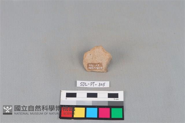 陶片藏品圖，第2張