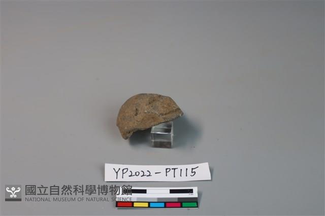 陶鈕藏品圖，第2張
