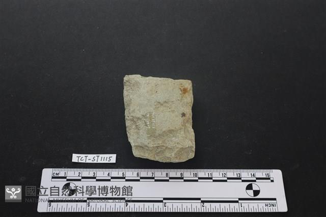 磨製斧鋤形器藏品圖，第2張