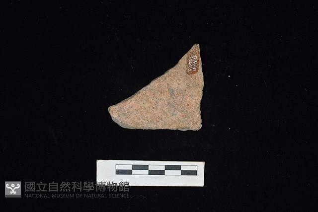 陶片藏品圖，第2張