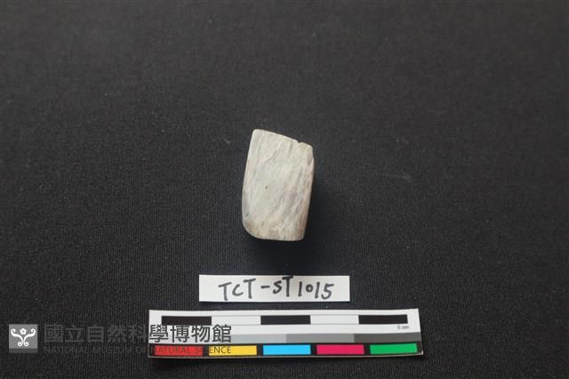 錛鑿形器藏品圖，第2張