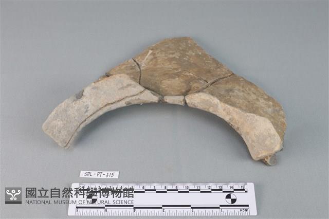 陶罐藏品圖，第2張