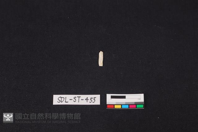 玉飾藏品圖，第2張