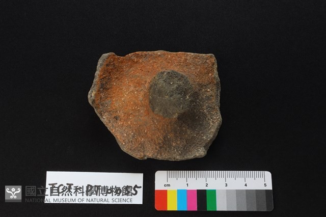 陶蓋鈕藏品圖，第2張