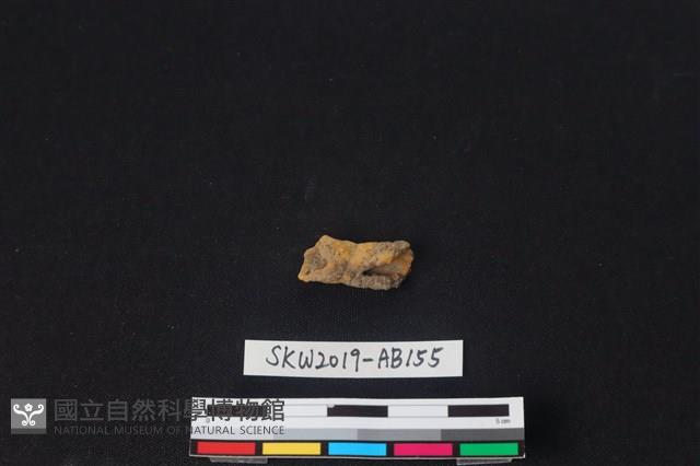 獸骨藏品圖，第2張