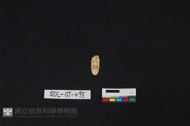 玉飾藏品圖，第2張