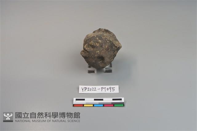 碗/淺盤型陶蓋藏品圖，第2張
