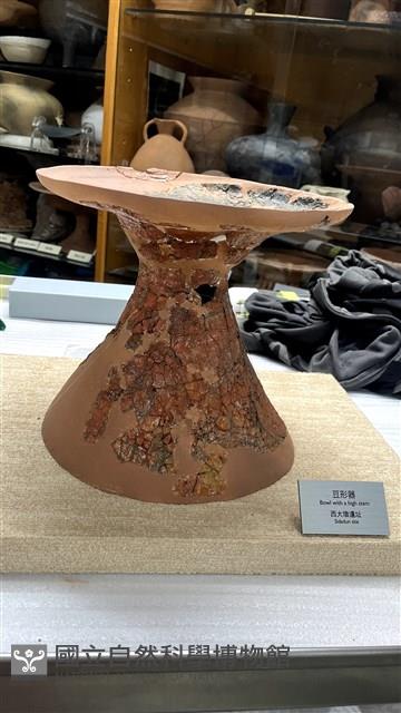 豆形器藏品圖，第2張