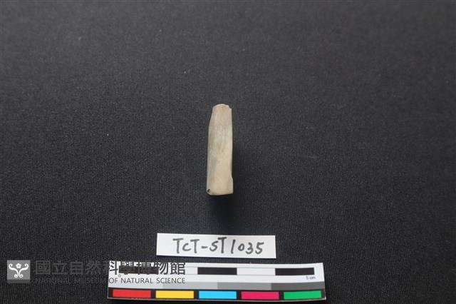 錛鑿形器藏品圖，第2張