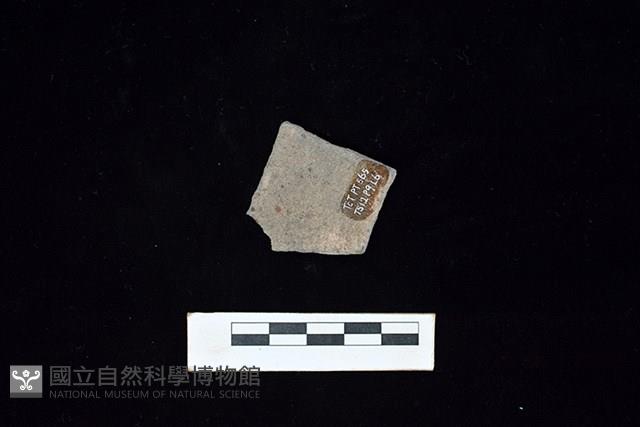 陶片藏品圖，第2張