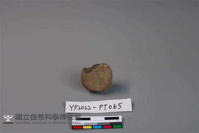 陶鈕藏品圖，第2張