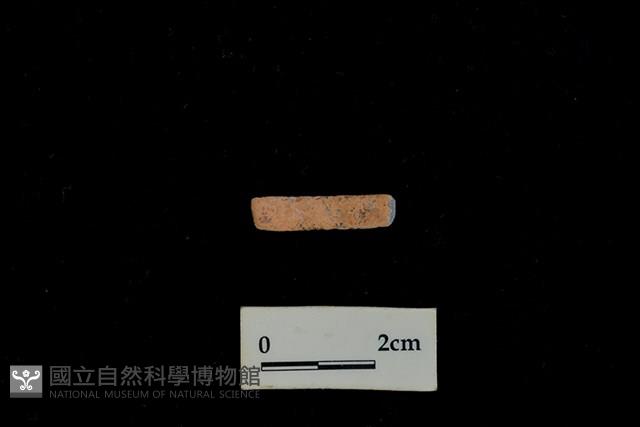 陶環藏品圖，第2張