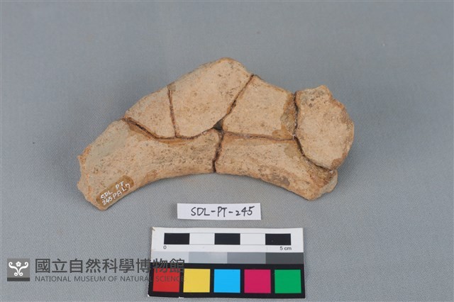 陶罐藏品圖，第2張