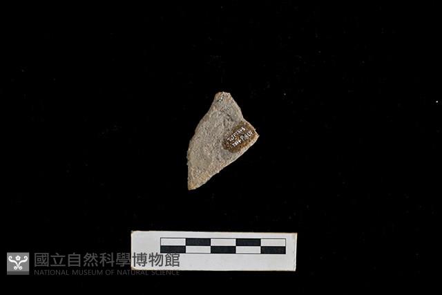 陶片藏品圖，第2張