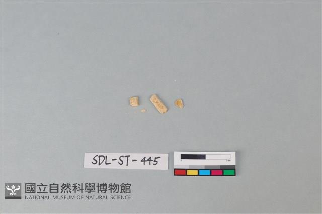 玉飾藏品圖，第2張