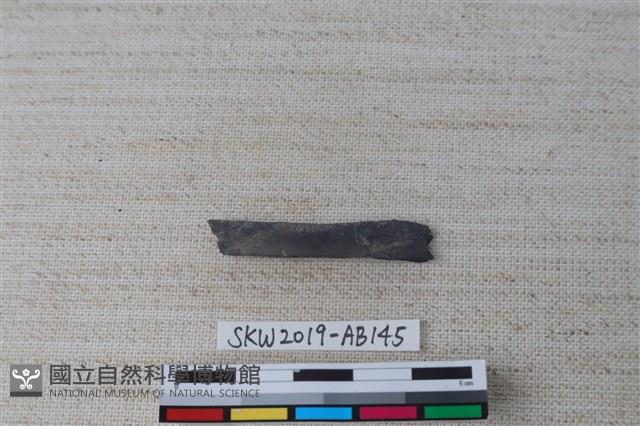 獸骨藏品圖，第2張