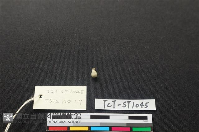 玉鈴藏品圖，第2張