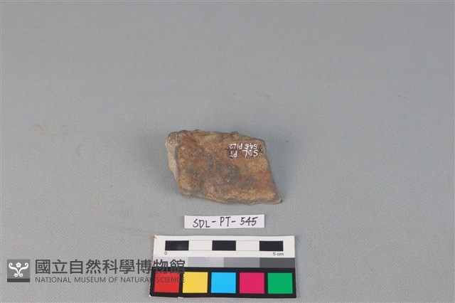 陶蓋藏品圖，第2張