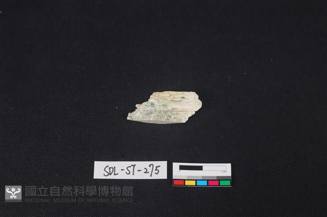 廢料藏品圖，第2張
