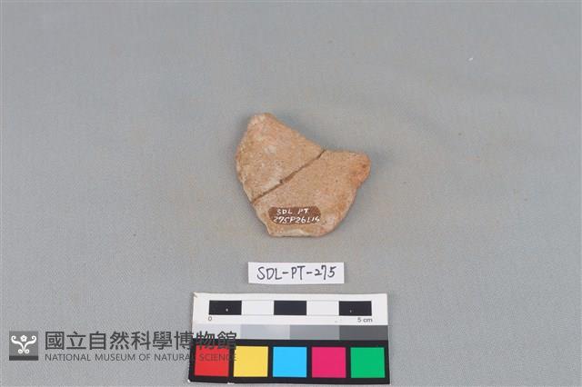 陶片藏品圖，第2張