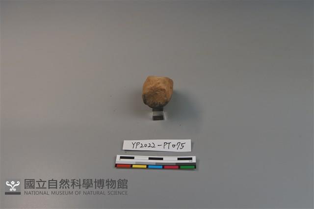 陶鈕藏品圖，第2張