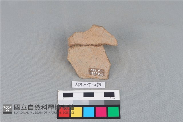 陶片藏品圖，第2張