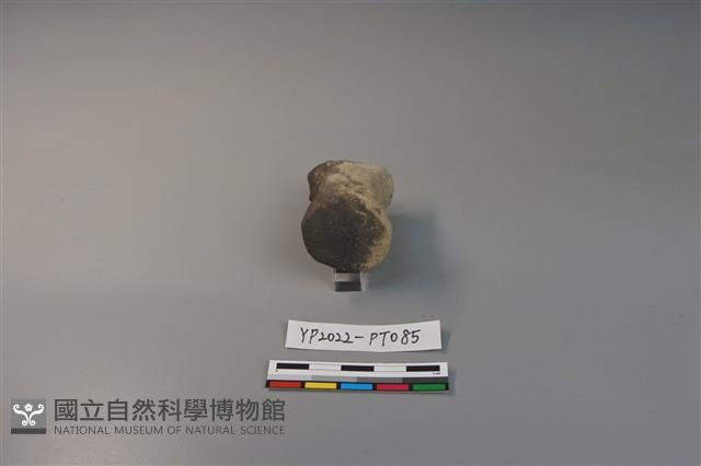 陶鈕藏品圖，第2張