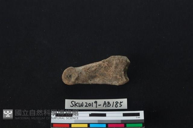 獸骨藏品圖，第2張