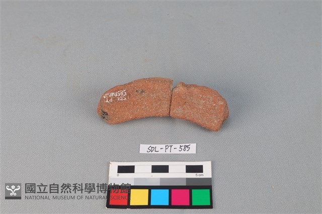 陶網墜藏品圖，第2張
