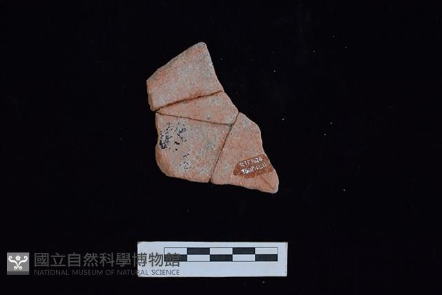 陶片藏品圖，第2張