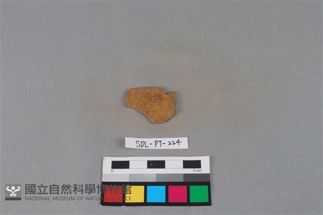 陶片藏品圖，第2張