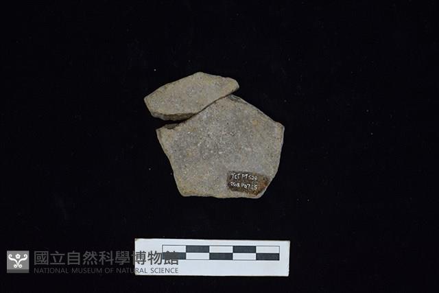 陶片藏品圖，第2張